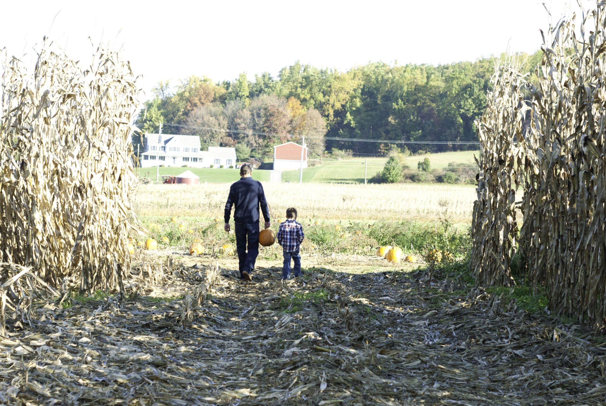 Hours Directions Savidge Farms